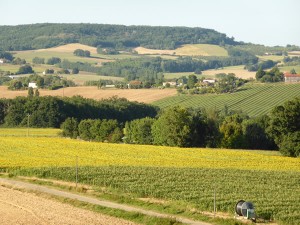 countryside 